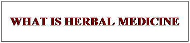 Text Box: WHAT IS HERBAL MEDICINE
